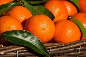 Oranges